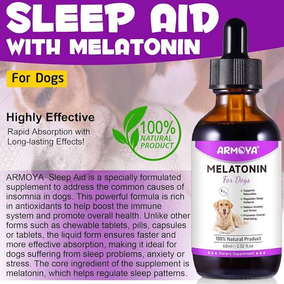 Melatonin Drops for Dogs - Dog Melatonin-Anxiety & Stress Relief